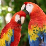 Xcaret 4-Cenotes-Guided Tour- Snacks, Lunch and Drinks included - Who Would Love This Tour?