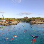 Xcaret Park Day Tour & Night Show with Transportation - A Deep Dive Into the Xcaret Experience