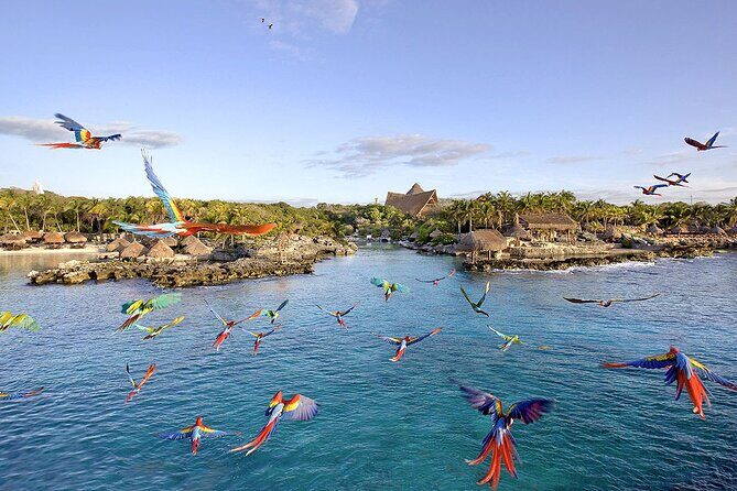Xcaret Park Day Tour & Night Show with Transportation - A Deep Dive Into the Xcaret Experience