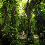 Xcaret Park Entry Tickets with Cultural Night Show Included - Practical Tips for Your Visit