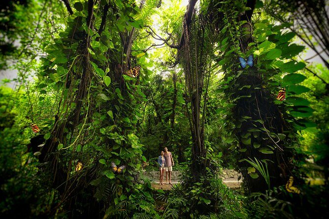 Xcaret Park Entry Tickets with Cultural Night Show Included - Practical Tips for Your Visit