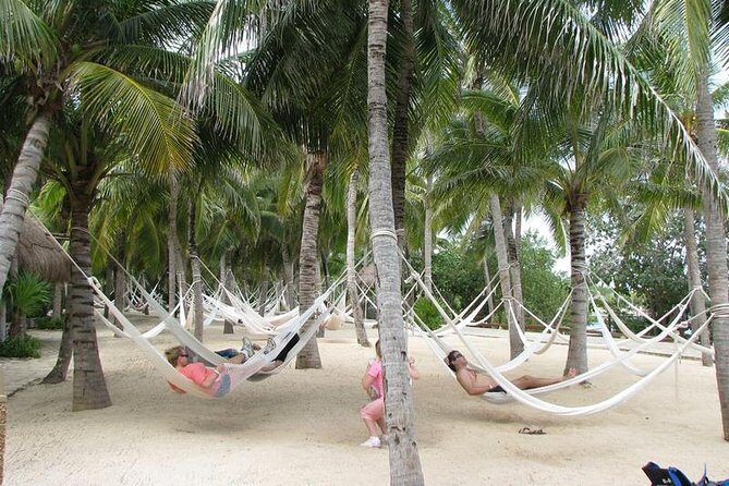 Xel Ha Park Snorkeling & Buffete & Open bar only from Cancun - An In-Depth Look at Xel-Há Park from Cancun