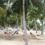 Xel ha Park Tour All inclusive! Nature & Fun from Cancun & Playa Del Carmen - The Realistic View: What Can Be Better?