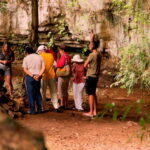 Xkopek, Mayan Bees Tour and Honey Tasting in Valladolid - Final Thoughts