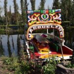 Xochimilco & Coyoacán Private Tour - The Itinerary Breakdown