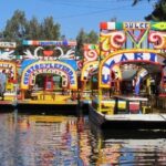 Xochimilco - Coyoacan Tour - Transportation and Comfort