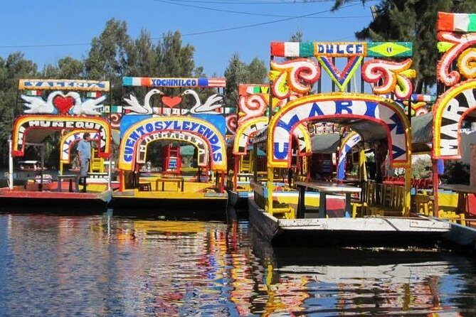 Xochimilco - Coyoacan Tour - Transportation and Comfort
