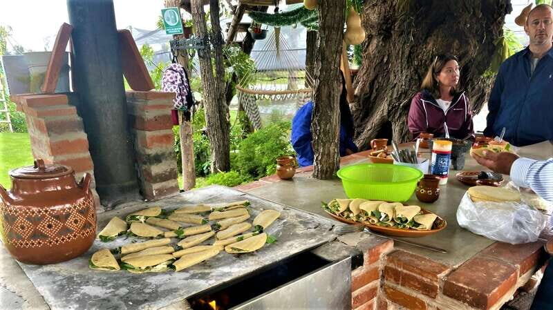 Xochimilco Day Trip: Farmland Food and Hop on a Trajinera - Who Should Consider This Tour?