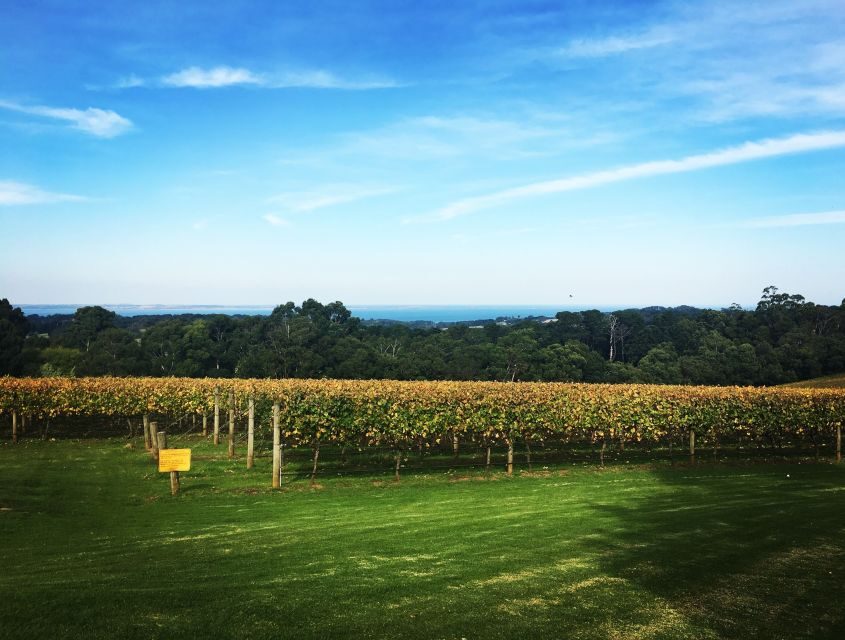 Yarra Valley: Bus Wine Tour with Lunch and a Glass of Wine - Exploring the Tour in Detail