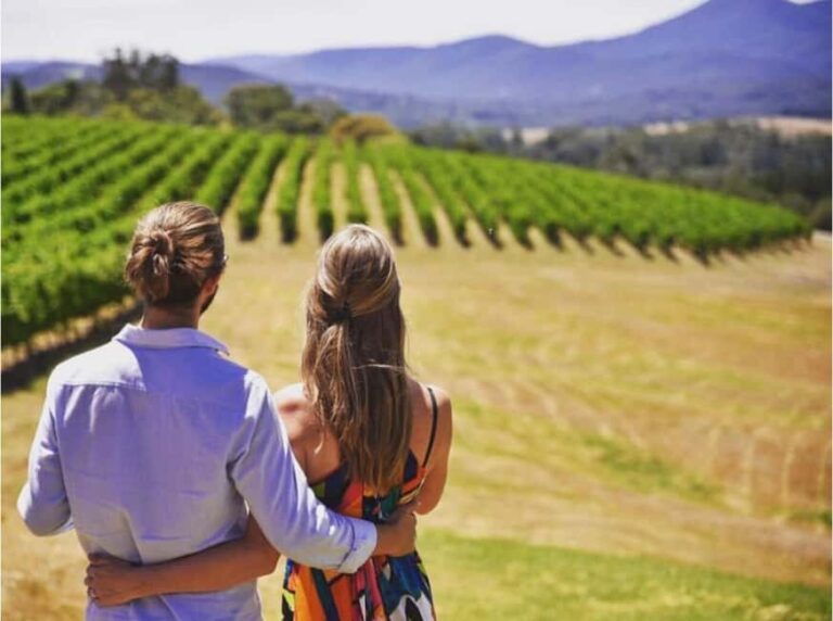 Yarra Valley Foodies Tour with Chandon and Kangaroo Safari! - What We Love About This Tour