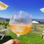 Yarra Valley Foodies Tour with Chandon & Kangaroo Safari! - Considerations and Tips for Travelers