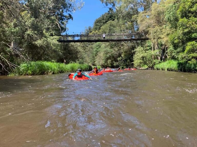 Yarra Valley: Self-Guided River Sledding Adventure - Who Will Enjoy This Tour?