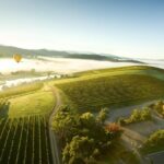 Yarra Valley Wine Day Tour - FAQ