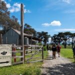 Yarra Valley Wine & Winery Tour from Melbourne - All Inclusive! - Who Would Love This Tour?