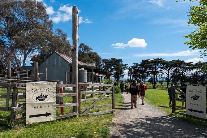 Yarra Valley Wine & Winery Tour from Melbourne - All Inclusive! - Who Would Love This Tour?