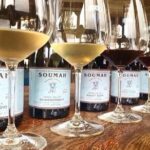 Yarra Valley Winery Half-Day Tour from Melbourne  Afternoon - Who Will Love This Tour?