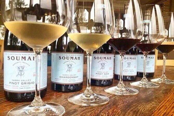 Yarra Valley Winery Half-Day Tour from Melbourne  Afternoon - Who Will Love This Tour?