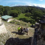 Yaxchilan & Bonampak Ruins and Lacandon Jungle from Palenque - Real Experiences & Honest Critiques