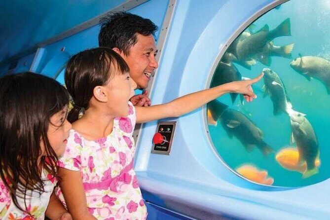 Yellow Semi-Submarine Tour of Catalina Island From Avalon - In-Depth Review of the Catalina Semi-Submarine Tour