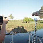 Yellow Water Cruise - Kakadu - An In-Depth Look at the Yellow Water Cruise