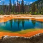 Yellowstone & Grand Tetons: 4-Day/3-Night Wildlife Adventure - What the Tour Includes and Excludes