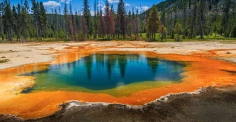 Yellowstone & Grand Tetons: 4-Day/3-Night Wildlife Adventure - What the Tour Includes and Excludes