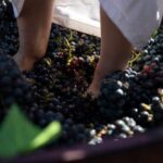 Yerevan: Khor Virap Day Trip with Mount Ararat Wine Tasting - A Detailed Look at the Experience