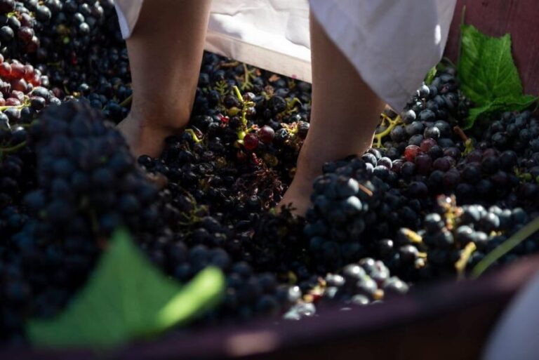 Yerevan: Khor Virap Day Trip with Mount Ararat Wine Tasting - A Detailed Look at the Experience