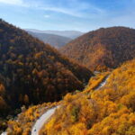 Yerevan to Tbilisi Day Tour: Unveiling Transcultural Wonders - What Travelers Say