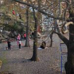Yoga classes - Deep Dive into the Itinerary and Locations
