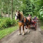 York: Horse Drawn Carriage Ride Around the Countryside York - The Itinerary Breakdown
