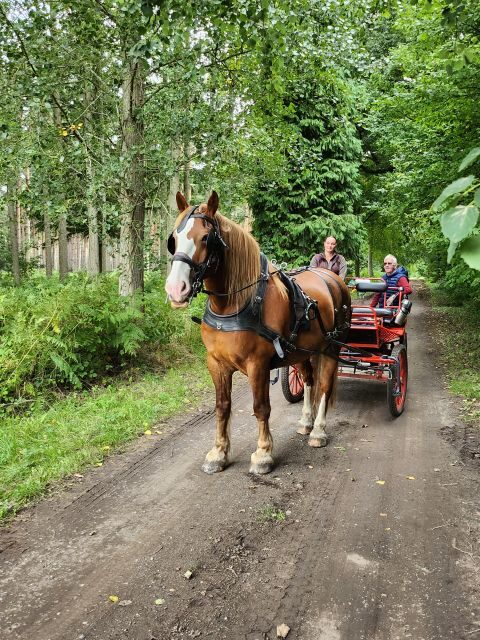 York: Horse Drawn Carriage Ride Around the Countryside York - The Itinerary Breakdown