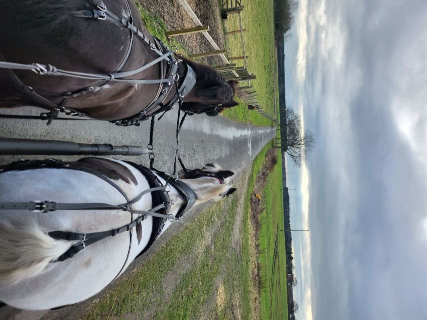 York: Horse Drawn Carriage ride & Cream Tea - Breakdown of the Itinerary