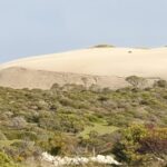 Yorke Peninsula: 3-Day Coastal Wilderness Tour from Adelaide - Final Thoughts