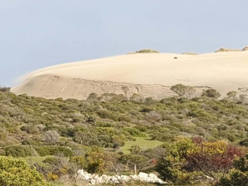 Yorke Peninsula: 3-Day Coastal Wilderness Tour from Adelaide - Final Thoughts