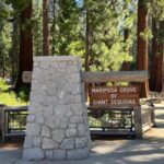 Yosemite, Giant Sequoias, Private Tour from San Francisco - A Day of Natural Wonder and Personal Touches