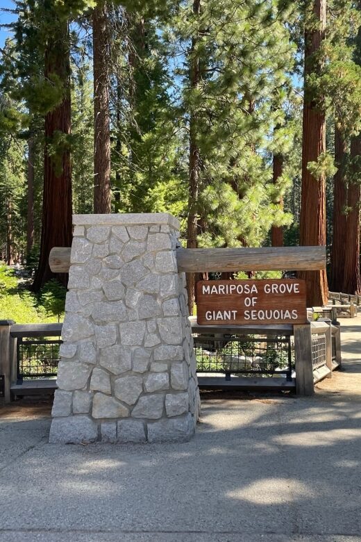 Yosemite, Giant Sequoias, Private Tour from San Francisco - A Day of Natural Wonder and Personal Touches