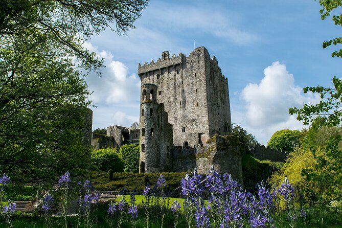 Your Irish Tour Blarney and Cork Private Day Tour - Who Will Love This Tour?