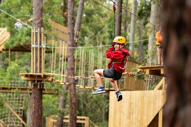 Your Little Ones Can Soar Through the Pines of Kuitpo Forest - Final Thoughts