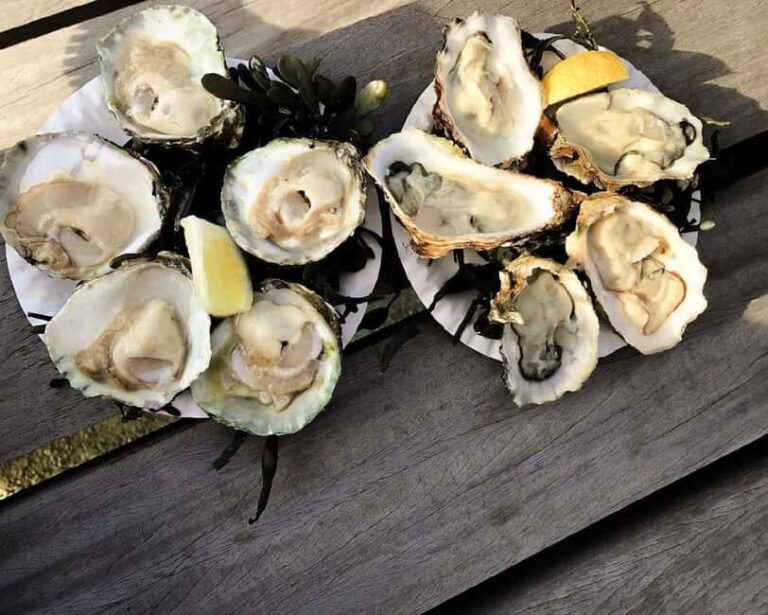 Your Own Amsterdam: Must Eat. Discovering The Dutch Cuisine! - The Sum Up: Is This Tour Worth It?