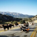 Your Tailored Samaria Tour That Nobody Will Believe - Who Will Love This Tour?