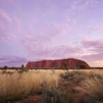 Yulara: Uluru Sunrise and Kata Tjuta Day Trip by Bus - What Makes This Tour Stand Out