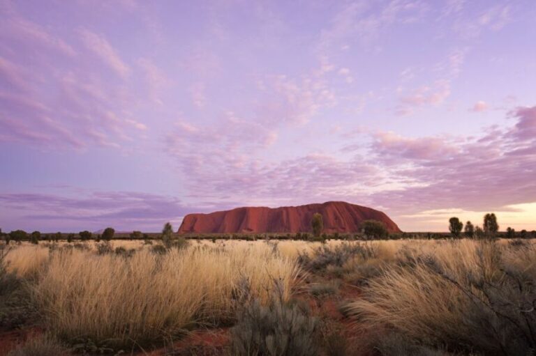 Yulara: Uluru Sunrise and Kata Tjuta Day Trip by Bus - What Makes This Tour Stand Out