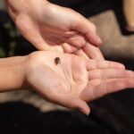Yura Mulka Private Tour - Frequently Asked Questions