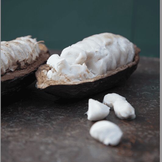 Zaandijk: Chocolate making demonstration & tasting - Who Would Enjoy This Tour?