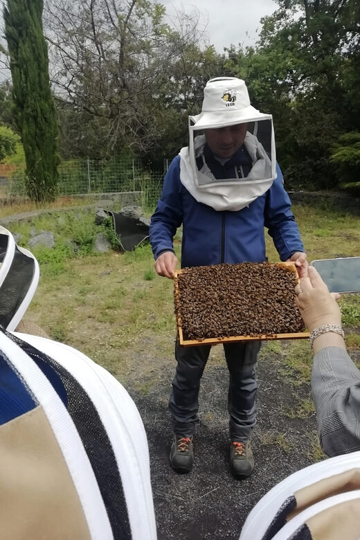 Zafferana Etnea:Honey extraction workshop and honey tasting - A Closer Look at the Honey Workshop and Tasting Experience