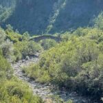 Zagori Adventure Off-Road & Cooking Experience - Who Should Consider This Tour?