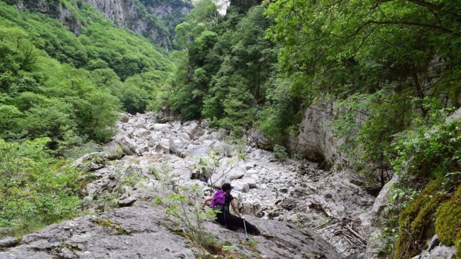 Zagori: Hiking In Vikos Gorge - Exploring the Vikos Gorge: A Detailed Look