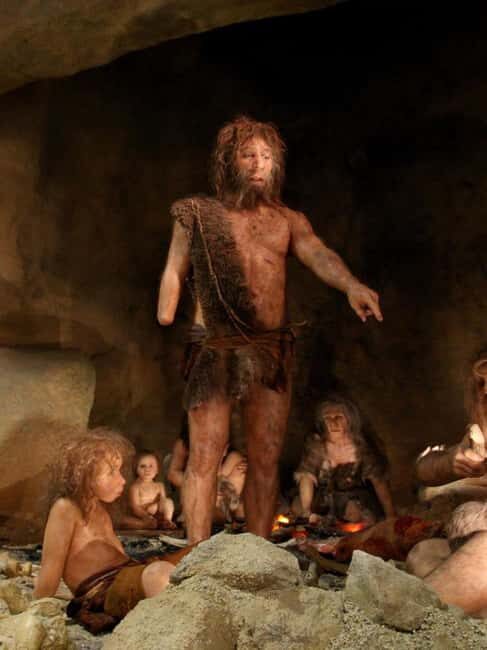 Zagreb: Krapina Neanderthal Museum & Trakoan Castle Tour - Who Should Consider This Tour?