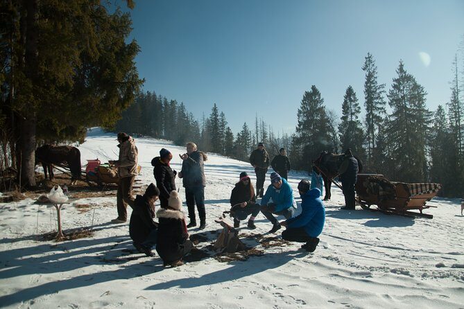 Zakopane and Horse Sleigh Ride in the countryside, private tour from Krakow - A Detailed Look at the Experience: What We Loved and What to Expect